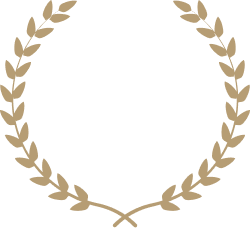 Lawyers