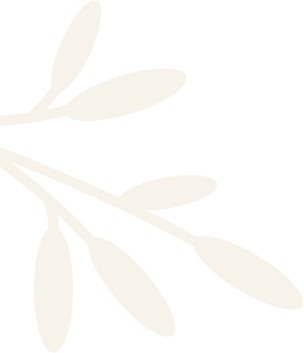 blog_posts_left_shape