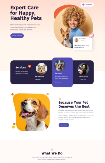 vet-1 Divi Magic layouts for WordPress